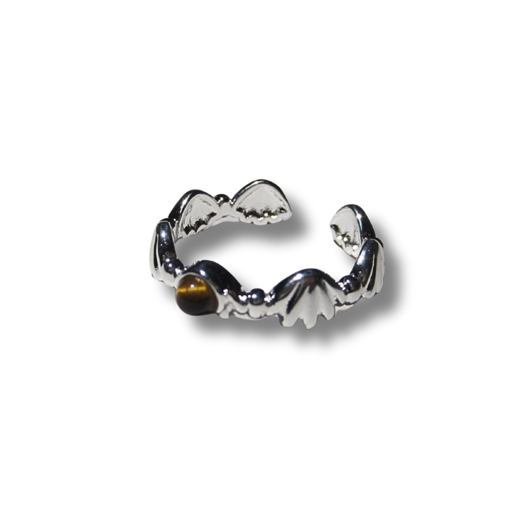 Silver Brown Band Ring